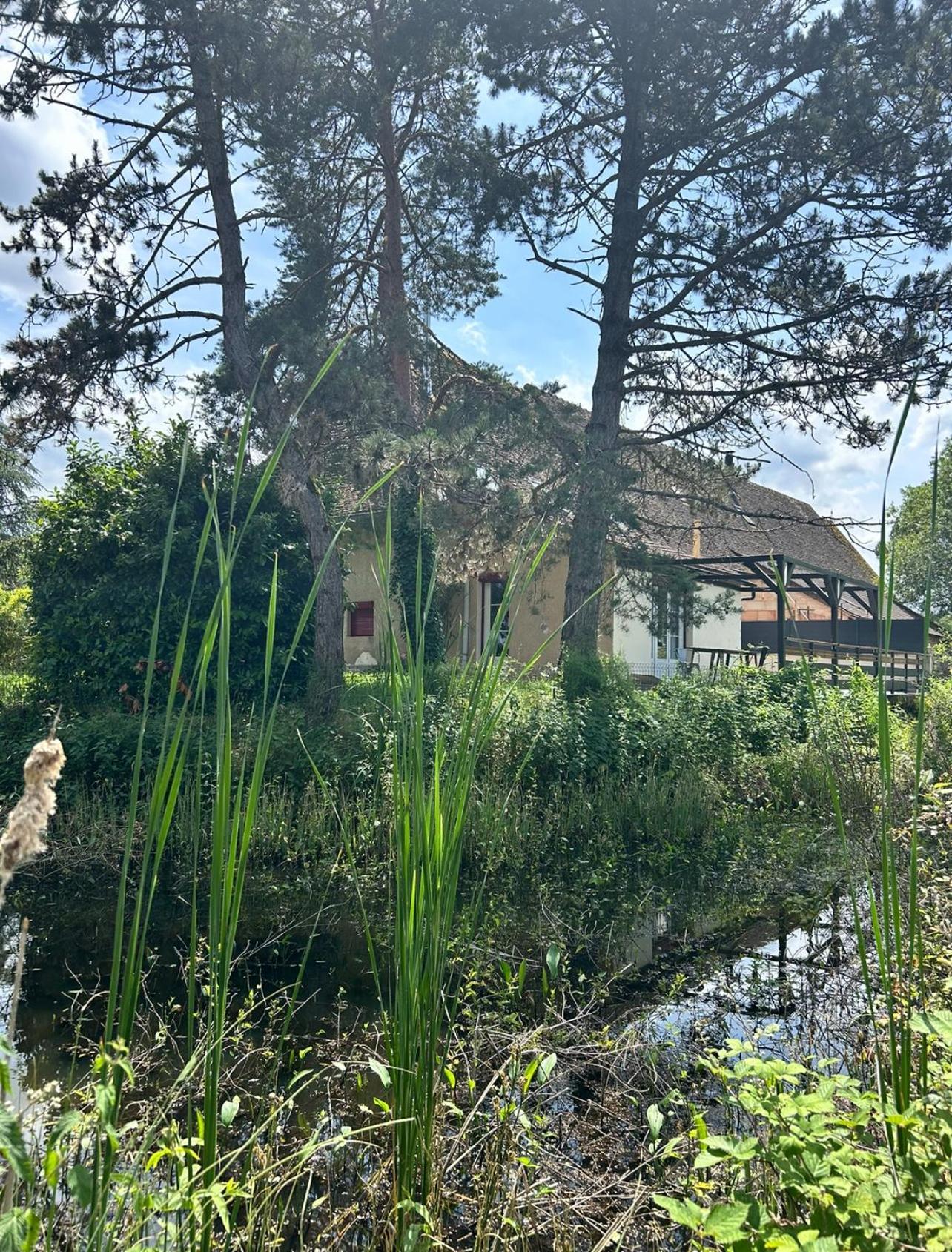 Le Gite Du Chateau Mouton Chatenoy-le-Royal Zewnętrze zdjęcie